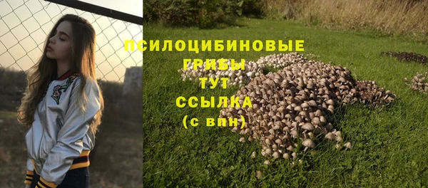 дмт Михайловка