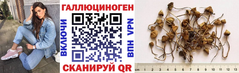 Галлюциногенные грибы Cubensis  Подпорожье 